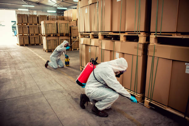 Best Pest Inspection Near Me  in Beresford, SD