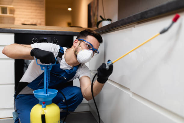 Best Affordable Pest Control Services  in Beresford, SD