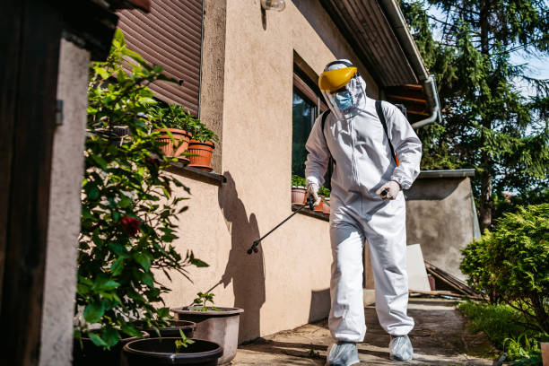 Best Affordable Pest Control Services  in Beresford, SD