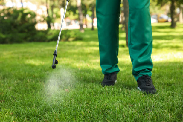 Pest Control for Restaurants in Beresford, SD