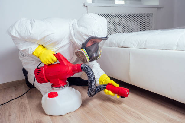 Flea Control Services in Beresford, SD
