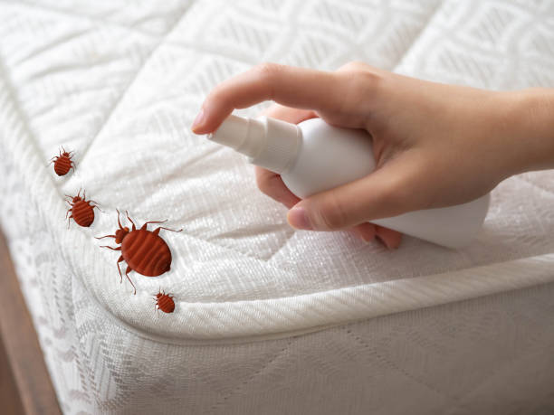 Best Commercial Pest Control Services  in Beresford, SD