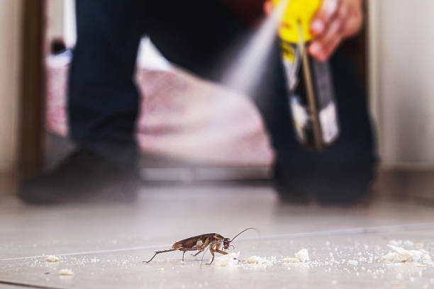 Best Residential Pest Control  in Beresford, SD