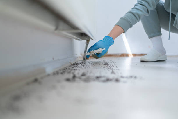 Best Mosquito Control Services  in Beresford, SD