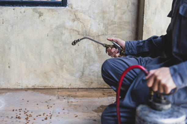 Best Pest Prevention Services  in Beresford, SD